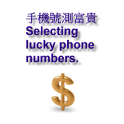 Lucky phone number(License)