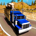 Animals Transport Truck Driver