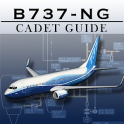Boeing B737-8 NG Pilot Guide