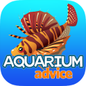 Aquarium Advice