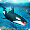 Killer Whale Attack Simulator