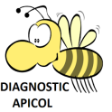 Diagnostic Apicol