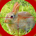atirador caça ao coelho 3d