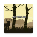 Dark Forest Run - spooky adventure game
