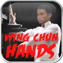 Wing Chun Hands
