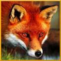 Angry Wild Fox Simulator