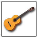 AfinaLou Guitarra Premium