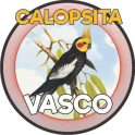 CALOPSITA - VASCO