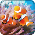 Clownfish 3D Live Wallpaper