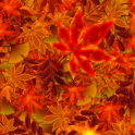 Autumn Leaves 2 Live Wallpaper