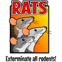 Rats DEMO