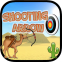 Shooting Arrow