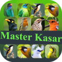 Master Suara Burung Kasar