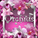 Orchids Go Launcher theme