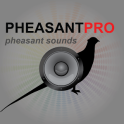 Pheasant Calls