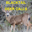 Blacktail Deer Calls Sounds