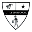 Little Star School