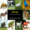 Animals (Tablet Edition)