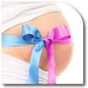 All About Pregnancy Guide