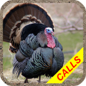 Turkey hunting calls Pro