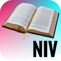 Holy Bible-NIV