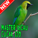 Master Kicau Cucak Ijo MP3