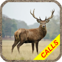 Deer hunting calls:Whitetail, Wapiti, moose sounds