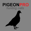 Pigeon Calls for Hunting