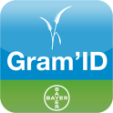 Gram'ID