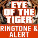 Eye of the Tiger Ringtone