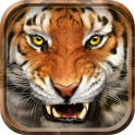Tame tigre locker tema en vivo
