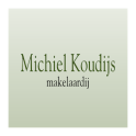 Michiel Koudijs
