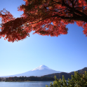 Country Mount Fuji HD Themes