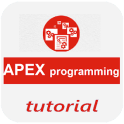 Learn Apex Programming