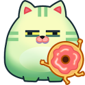 도넛캣