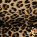 Leopard Skin Xperien Theme