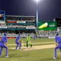 Superb Cricket Games