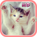 Cute Kitten & Puppy Sounds HD