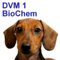 DVM 1st Yr Quiz - Biochemistry
