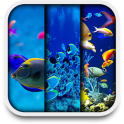 Aquarium live wallpapers