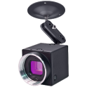 Viewer for Loftek IP cameras
