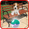 Pocket Puppy Pet Go!