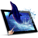 Blue Dolphin live Wallpaper