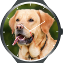 Dogs Watch Faces