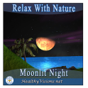 Moonlit Night