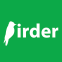 Birder - Observation d'oiseaux