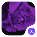 Púrpura-APUS Launcher tema