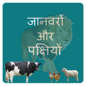 Learn Animals and Birds in Hindi - Quiz