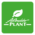 Almeerplant
