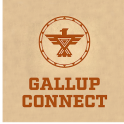 Gallup Connect